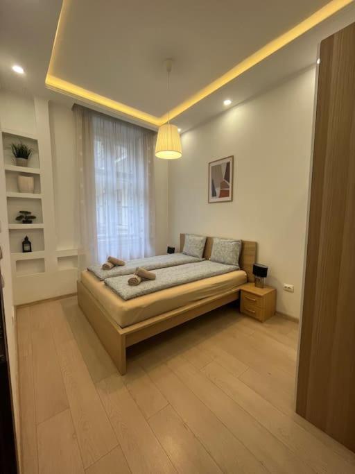 Szechenyi Renovated 2Br At Danube River بودابست المظهر الخارجي الصورة